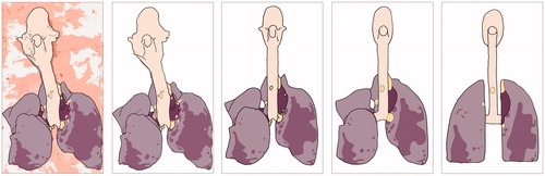 Figure 2. Part of Case 2 illustrations (Daub colouring with different degrees). From the left: Realistic (includes background information), Realistic (does not include background information), Characteristics, Schematics (medium-low level of detail) and Schematics (very low detail).