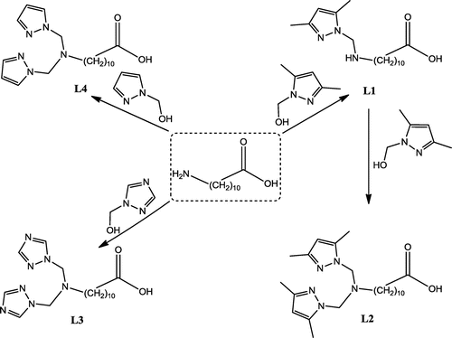 Figure 1. General structure of the ligands (L1–L4).
