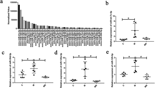 Figure 2. Morphine altered miRNA expression that was reversed by ginsenoside Rg1. (a) the 50 most abundant miRnas in mice feces of control group. (b-e) relative expression of miR-let-7c-5p, miR-30d-5p, miR-125a-5p, and miR-129-5p in mice feces were verified by qPCR. Data were analyzed with one-way ANOVA. Values are mean ± SEM, n = 6. *p < .05 vs the control group; #p < .05 vs the morphine group.