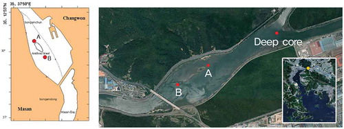 Figure 3. Locations of deep core and sediments sampling site in the Bongam tidal flat.