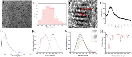 Figure 2. Morphological characterisations of CRC-CDs. (A) Transmission electron microscopy (TEM) images of CRC-CDs displaying ultra-small particles. (B) Particle size distribution histogram of CRC-CDs. (C) High-resolution TEM image of CRC-CDs and lattice spacing of CRC-CDs (in the Middle). (D) X-ray diffraction pattern (E) Ultraviolet-visible spectrum. (F) Fluorescence spectra. (G) Fluorescence spectra of FP-CDs with different excitation wavelengths. (H) Fourier transform infra-red spectrum.
