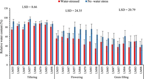 Figure 4. Influence of water stress imposed at three growth stages on the relative water content of wheat genotypes. n = 8.