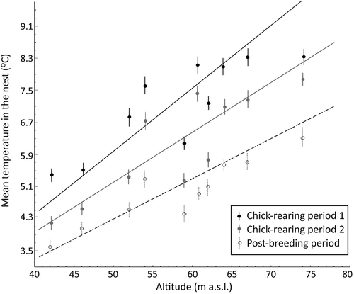 Figure 3. Relationship between nest temperature (mean ± SD, mean daily temperatures calculated from the three locations in a burrow during consecutive three days) and altitude in nests during two chick-rearing phases and the post-breeding period. Regression lines are shown for significant relationships.