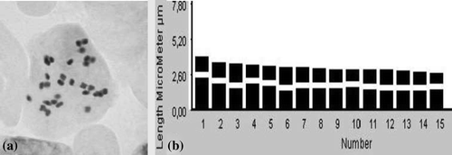 Figure 2. T. sandrasicum: (a), somatic metaphase (2n = 30); (b), ideogram.