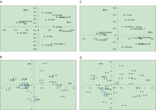 Figure 3 The score and loadings (a and c are the loading plots and b and d are the score plots) (1) Zhonghua8; (2) Zhongnong108; (3) Shanhua7; (4) Silihong; (5) 0uhua11; (6) Bianhua3; (7) Haihua1; (8) Shuangji2; (9) Shanhua9; (10) Fenghua5; (11) Yueyou7; (12) Yueyou14; (13) Yueyou20; (14) Yueyou39; (15) Yueyou40; (16) Yueyou45; (17) Yueyou52; (18) Yueyou55; (19) Yueyou86; (20) Minhua9; (21) Guihua771; (22) Zhanhua82; (23) Shanyou250; (24) Longhua243; (25) Heyou11; (26) Quanhua551; (27) Zhongkaihua9; (28) Puhua23; (29) Zhenzhuhong; (30) Zhenzhuhei; (31) Baihuasheng; (32) Huaguanwang; (33) Fenghua1; (34) Fenghua3; (35) Fenghua4; (36) Honghua1; (37) Qinghua8; (38) Huayu8; (39) Luhua14; (40) 9616.