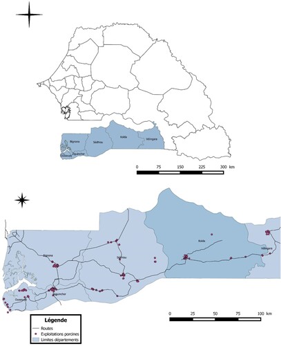 Figure 1. Localization of the study area, Casamance comprising the regions of Kolda, Sédhiou and Ziguinchor (Ossebi et al. Citation2019).