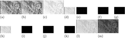 Figure 18. The intermediate outputs after denoising Quicklook1 image (real SAR) corrupted with G0 noise using the proposed method [(a) Noisy image, (b) Preprocessed image, (c) Log transformed image, (d) Approximation coefficients after DWT, (e)–(g) Detail horizontal, vertical, and diagonal components after DWT, (h) Filtered approximation component, (i)–(k) Thresholded detail components, (l) DWT reconstructed image, (m) Exponential transformed image.