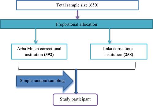 Figure 1 Presentation of sampling procedure on magnitude of depression among prisoners in Arba Minch and Jinka town, Southern Ethiopia, 2021.
