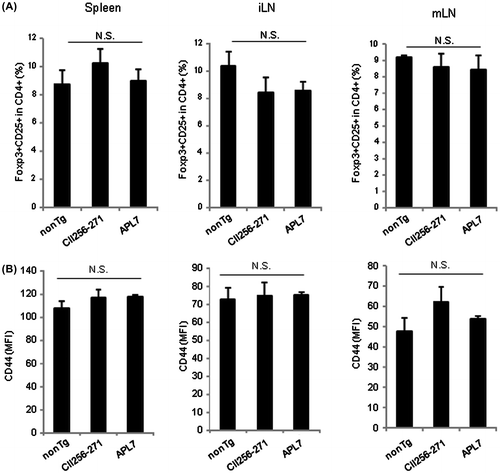 Fig. 5. Effect of the APL7 transgenic rice treatment on regulatory T cells and CD4+ T cells in CIA mice.Notes: Mice were treated with APL7 or control rice and then challenged with the CII antigen. The spleens, iLNs, and mLNs were harvested on day 35 and stained with CD25, Foxp3 (A), and CD44 (B). (A) A bar graph showing the proportion of CD4+CD25+Foxp3+ cells in CD4+ T cells from the spleen, iLN, and mLN, which was obtained from flow cytometric analysis for the expression of CD25 and Foxp3 was gated for CD4+ T cells. (B) Mean fluorescent intensity (MFI) of CD44 expression in CD4+ cells in the spleen, iLN, and mLN. Data are the mean ± SD of 4 mice per group. N·S. – not significantly.