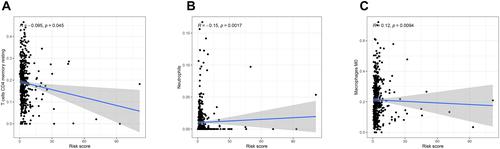 Figure 7 Relationships between the risk score and infiltration abundances of immune cell types.