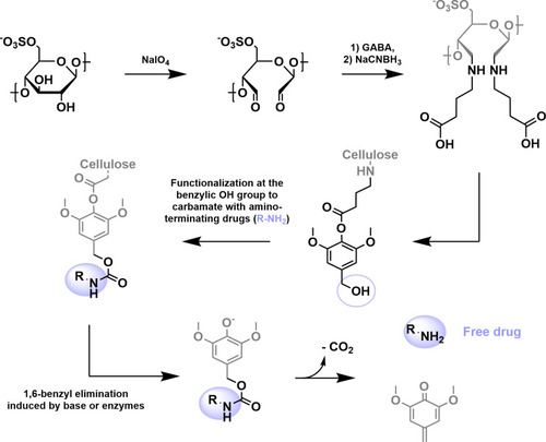 Figure 8 Functionalizaton of cellulose with amino-terminating drugs. The active pharmaceutical ingredient is then enzymatically released through 1,6-benzyl elimination as suggested by Dash et al.Citation44