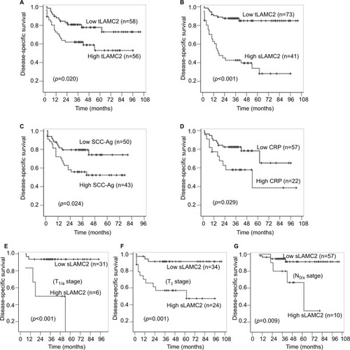 Figure 3 The analyses for disease-specific survival in PSCC patients.Notes: (A–B): Kaplan–Meier survival analyses were performed on the patient cohort based on the levels of tLAMC2 (A), sLAMC2 (B), SCC-Ag (C), and CRP (D). (E–G): Stratified Kaplan–Meier survival analyses based on sLAMC2 level in patients at T1/a (E), T2 (F), and N0/X (G) stage.Abbreviations: CRP, C-reactive protein; LAMC2, laminin gamma 2; PSCC, penile squamous cell carcinoma; SCC-Ag, squamous cell carcinoma antigen; sLAMC2, serum LAMC2 level; tLAMC2, tissue LAMC2 level.