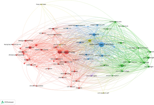 Figure 4 Co-occurrence network map of institutions.
