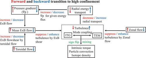 Figure 11. Diagram of the feedback loop for transport bifurcation.