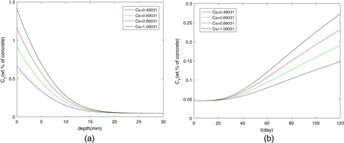 Figure 5. Influence of  Cs on the chloride diffusion.  