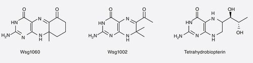 Figure 1. Dihydropterins.