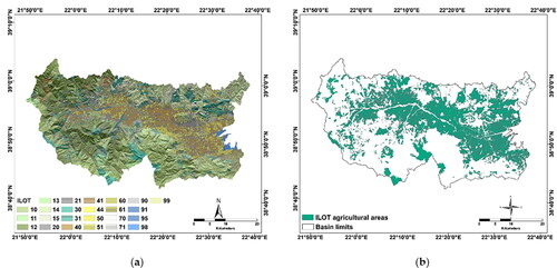 Figure 3. (a) ILOT classification; (b) Extent of agricultural areas within the basin.