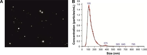 Figure 5 EVs’ NTA.Notes: EVs are observed at the screen shot from NTA video (A). Representative graph shows the results of particle concentration and their size measurements. NTA of this sample revealed two populations of hBM-MSC-EVs with the peak diameter of 105 and 375 nm (B).Abbreviations: EVs, extracellular vesicles; hBM-MSCs, human bone marrow mesenchymal stem cells; NTA, NanoSight particle tracking analysis.