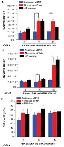 Figure 7 Expression of luciferase gene by co-transfecting pDNA and siRNA (blue: antisense; red: nonsense; black: siRNA-free) into COS-7 cells (A) and HepG2 cells (B) using PSIA; cytotoxicity of polyplexes formed from PSIA-pDNA-antisense siRNA complex (blue bar), PSIA-pDNA-nonsense siRNA complex (red bar), and PSIA-pDNA complex (black bar) at various polymer to gene ratios (W/W) in COS- 7 cells (C) and HepG2 cells (D); the value ‘0’ on the x-axis refers to naked pDNA and siRNA solution or naked pDNA solution.Notes: *P < 0.05; **P < 0.01.Abbreviations: PSIA, polyspermine imidazole-4, 5-amide; RLU, relative light unit.