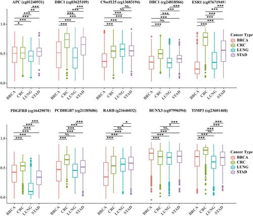 Figure 1 Difference analysis of 10 specific methylation sites in breast cancer, lung cancer, gastric cancer and colorectal cancer.