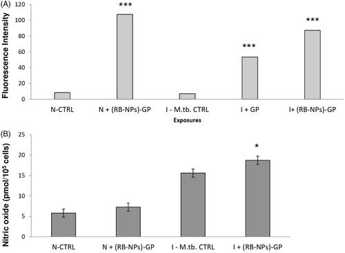 Figure 2. Free radical generation (A). ROS and (B) NO generation estimated by DCFH-DA mediated fluorescence observed within uninfected and M. tuberculosis infected macrophage after 24 h exposure to 10 μg/ml of (RB-NPs)-GP.