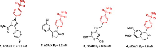 Figure 2. Examples of potent and isoform-selective CAIs – derivatives of benzenesulfonamide (BSA).