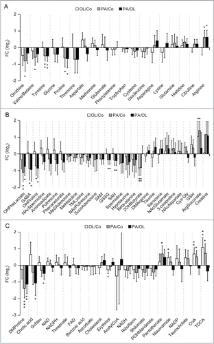 Figure 4. Metabolic effects of fatty acids in the liver. A–C. Histograms depict the effects of intraperitoneal palmitate (PA) or oleate (OL), as compared to each other (PA/OL) or to vehicle (PA/Co and OL/Co), on the hepatic levels of amino acids (A), amino acid-related molecules (B) and other metabolites (C). Data are presented as fold changes (FCs) and associated 95% confidence intervals, in log2 scale. * p < 0.05, ** p < 0.01, *** p < 0.001 (moderated F-test).