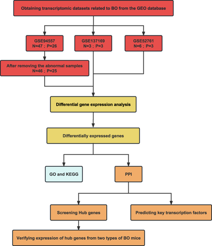 Figure 1 The flowchart of the analysis process.