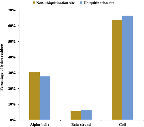 Figure 4 Distribution of secondary structures of ubiquitination and non-ubiquitination sites: α-helix, β-strand, and coil. Significance was calculated by the Wilcoxon test.