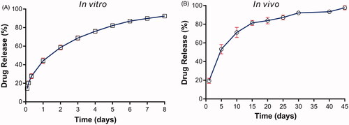 Figure 2. The drug release profiles of the VP16 implants. (A) The in vitro drug release profile of the VP16 implants (n = 6 for each time). (B) The in vivo drug release profile of the VP16 implants (n = 3 for each time). Data were shown as mean ± standard deviation.