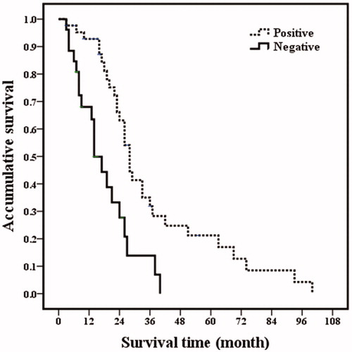 Figure 5. Overall survival curves in breast cancer liver metastasis patients with estrogen receptor status. Patients with estrogen receptor negative had poorer overall prognosis (p <.001).