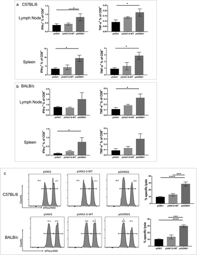 Figure 5. pGX-9501 induces effective specific cytotoxic lymphocyte(CTL) killing activity in vivo with enhanced IFN-g dominated cytokine expression in specific CD8 + T cells. Single suspension lymphocytes of spleens or lymph nodes from immunized C57BL/6 (a) and BALB/c (b) mice were stimulated with 10 mg/mL SARS-CoV-2 peptide pools in vitro for 4 to 6 hours. Levels of IFN-γ and TNF-α production in CD8 + T cells were measured by flow cytometry. C, Antigen-specific cytotoxic lymphocyte driven (CTL) killing ability was evaluated using an in vivo CTL assay. Target cells at 4*106/ml from naïve mice labeled with eFlour450 were incubated with 10 mg/mL SARS-CoV-2 peptide pools in vitro for 4–6 h before transferring into immunized mice by the intravenous route. The intensity of eFlour450 peptide labeled target cells were compared with the non-peptide labeled negative control cells after 5 hrs by flow cytometry to demonstrate in vivo killing. In vivo killing is only observed in the optimized pGX-9501 vaccinated animals.