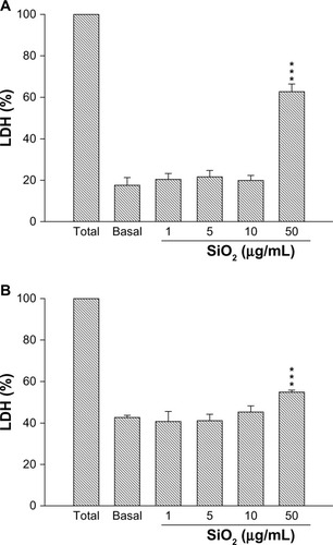 Figure 5 Inflammation assay by measuring LDH release from (A) human lung fibroblast (WI-38) cells and (B) human ovarian cancer (ES-2) cells treated with different concentrations of mesoporous SiO2 nanoparticles.Note: ***P < 0.001.Abbreviation: LDH, lactate dehydrogenase.