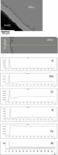 Figure 5. Compositional profiles obtained from a sample of SS304 after a total of 400 hours thermal exposure at 850 °C showing the formation of a surface oxide of chromium and manganese with a layer of SiO2 at the interface with the alloy. Depletion of these elements had occurred from the alloy with enhancement of iron demonstrating protective oxidation at these sites.