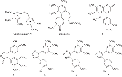 Figure 1.  Combretastatin A-4, colchicines, and selected analogs of combretastatin A-4.