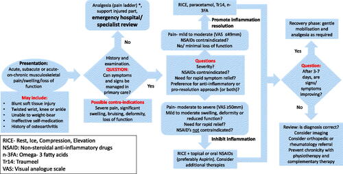 Figure 2. How considering inflammation resolution might alter the management of musculoskeletal injury. *The WHO “Pain Ladder” classifies pain in terms of severity and recommends a series of increasingly potent analgesic treatment steps according to responseCitation20.