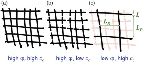 Figure 8. Networks with different solid fraction, ϕ, and connectivity, . (a) and (b) have nearly identical ligament diameter, L, and pore diameter, , and similarly high ϕ. Yet, broken ligaments make the characteristic diameter, , of the load bearing ring in (b) much larger than in (a), implying lesser connectivity and more fragile mechanical behavior. (c) has the same load bearing ring as (b), suggesting similar mechanical behavior in spite of the very different ϕ.