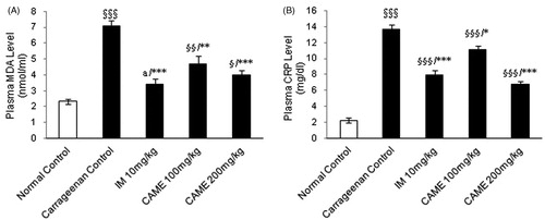 Figure 5. Effect of CAME on plasma malondialdehyde and C-reactive protein levels of inflamed rats. (A) Malondialdehyde (MDA) level in the plasma. (B) C-reactive protein (CRP) level in the plasma. Each value is mean ± SEM (n = 6) §p < 0.05, §§p < 0.01, and §§§p < 0.001, a = non-significant when compared with normal control. *p < 0.05, **p < 0.01, and ***p < 0.001, b=non-significant when compared with untreated carrageenan control.
