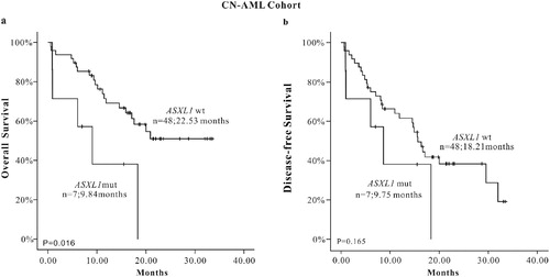 Figure 2. The K-M survival curve of ASXL1 mutations in CN-AML patients, (a) OS (n = 55), (b) DFS (n = 55).
