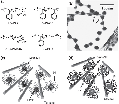 Figure 15. (a) Examples of the chemical structures of the block copolymer-based dispersants. (b) TEM bright-field image of SWCNTs dispersed with PS-P4VP. Micelles are located between two nanotubes, by indicated arrows, implying a possible de-bundling of SWCNTs by micelles. (c), (d) Schematic model of the nanostructure of SWCNTs and block copolymer. PS and P4VP are selectively adsorbed on the surface of nanotubes in (c) toluene and (d) ethanol, respectively. Parts (b)–(d) reproduced with permission from H-i Shin et al 2005 Macromol. Rapid Commun. 26 1451. Copyright 2005 John Wiley and Sons.