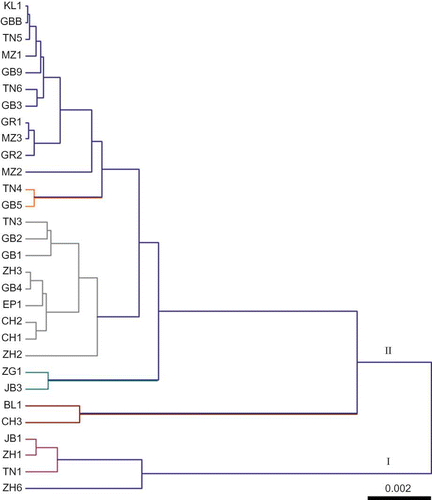 Figure 5 Cluster analysis showing grouping of 30 Tunisian pomegranate cultivars. See Table 1 for cultivars names abbreviations (color figure available online).