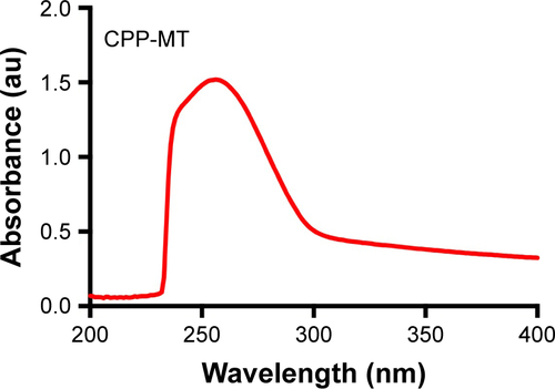Figure S2 UV absorption spectrum of CPP-MT in phosphate buffer.Notes: The spectrum shows no signs of lipopolysaccharide contamination. In fact, the absorption maximum occurs at 260 nm due to the small fraction of aromatic amino acids, which would even facilitate the identification of lipopolysaccharide by UV-Vis spectroscopy.Abbreviations: CPP, cell-penetrating peptide; MT, metallothionein.