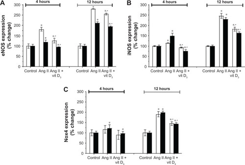 Figure 6 The effect of Ang II and vitamin D3 on the expression of eNOS (A), iNOS (B) and NADPH oxidase (Nox 4) (C) in HUVECs of CAs (open bars) and AAs (solid bars).Notes: HUVECs were incubated with Ang II (1 µmol/L) in the presence and absence of vitamin (vit) D3 (100 nmol/L). Total protein samples, collected from HUVECs of CAs (open bar) and AAs (solid bar), were screened, and expressions of eNOS (A), iNOS (B) and NADPH oxidase 4 (C) were recorded from the absorbance at 450 nm and presented here as % change versus control (mean ± SE [N=3–5]). One-way analysis of variance followed by Student–Newman–Keuls multiple comparison test was used to compare treated groups versus control. *P<0.05 versus control and +P<0.05 versus Ang II.Abbreviations: AAs, African Americans; CAs, Caucasian Americans; vitamin D3, 1, 25-dihydroxy vitamin D3; eNOS, endothelial nitric oxide synthase; Ang II, human angiotensin II; HUVECs, human umbilical vein endothelial cells; iNOS, inducible nitric oxide synthase; NADPH, nicotinamide adenine dinucleotide phosphate.