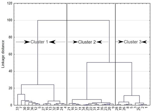 Figure 2. Dendrogram showing the groundwater clusters.