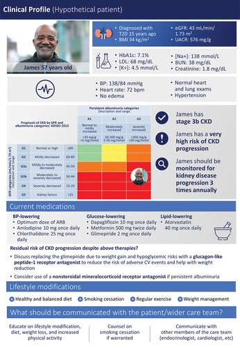 Figure 2. Hypothetical patient profile of an adult patient with CKD associated with T2D. The hypothetical patient profile presented here is fictional (not a real patient case). The content in this figure was provided by the authors and represents the opinions of the authors. The profile is intended to represent a clinical profile of an adult patient with CKD associated with T2D. ARB = angiotensin receptor blocker; BMI = BMI + Body Mass Index; BP = blood pressure; BUN = blood urea nitrogen; CKD = chronic kidney disease; CV = cardiovascular; eGFR = estimated glomerular filtration rate; HbA1C = hemoglobin A1c; K+ = potassium; KDIGO = Kidney Disease Improving Global Outcomes; LDL = low-density lipoprotein; Na+ = sodium; T2D = type 2 diabetes; UACR = urine albumin-to-creatinine ratio.