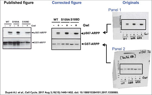 Figure 2a.  