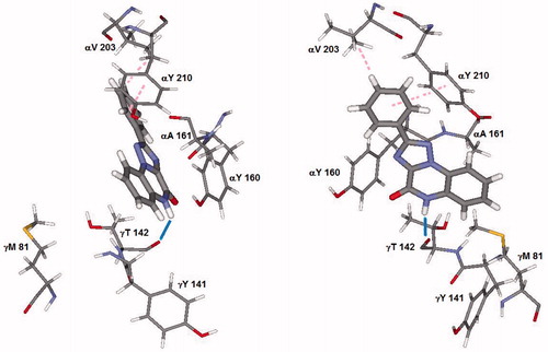 Figure 3. Interaction between affine compound 17 and receptor protein. Hydrogen bond interaction: blue solid line; Van der Waals interaction: pink dashed line.