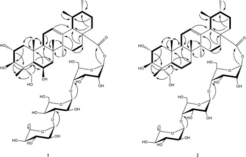 Figure 3 Key HMBC (Display full size) and 1H-1H COSY (Display full size) correlations of compounds 1 and 2.