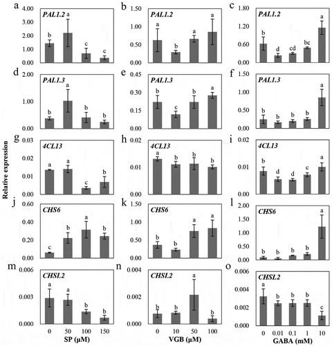 Figure 2. Expression changes of genes involved in flavonoid biosynthetic pathway in leaves at 12 d under different concentrations of SP or VGB or GABA. The methods of treatments are shown as in Figure 1. Total RNA was isolated with the RNAprep Pure Plant Kit (Tiangen, Beijing, China) and then reverse transcribed to cDNA with the PrimeScript™ RT Reagent Kit (Takara, Otsu, Japan). The targeted genes were selected based on our published work.Citation17 PtoUBQ was used as the internal reference gene. The leaves of three biological repeats were sampled to analyze the gene expression by qRT-PCR. The method of the statistical analysis is shown as in Figure 1.