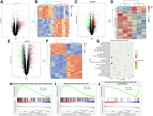 Figure 1 Identification of DEG, and KEGG and GSEA analysis. (A) Volcano plot of DEG in the GSE141804 dataset; (B) heat map of DEG in the GSE141804 dataset; (C) volcano plot of DEG in the GSE160932 dataset; (D) heat map of DEG in the GSE160932 dataset; (E) volcano plot of DEG in the GSE164400 dataset; (F) heat map of DEG in the GSE164400 dataset; (G) KEGG functional enrichment analysis; (H–J) GSEA analysis. PI3K and MTOR signaling pathways were up-regulated in psoriasis, while AUTOPHAGY signaling pathway was down-regulated.